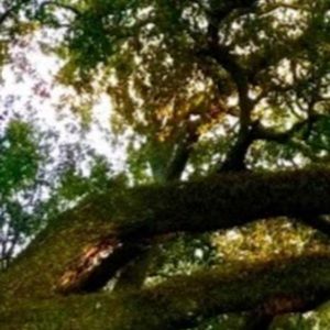 Meet your Posher, Mia